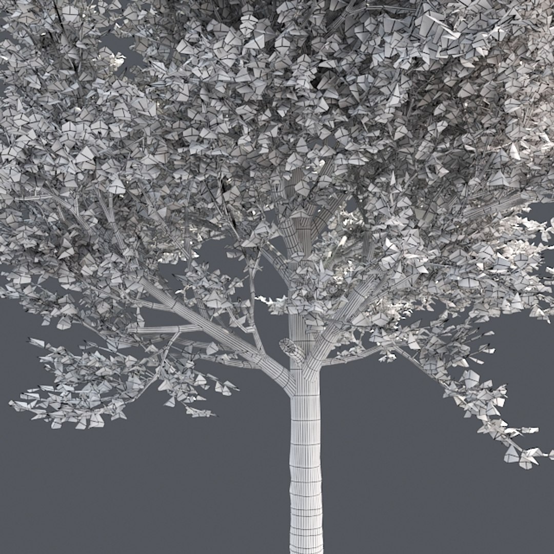 tree 002 32 model https://p.turbosquid.com/ts-thumb/3F/vfasE7/PFPzeDCl/005/jpg/1607258604/1920x1080/fit_q87/2e78bb2e4885163fd0021f0449e30100c9dec18b/005.jpg