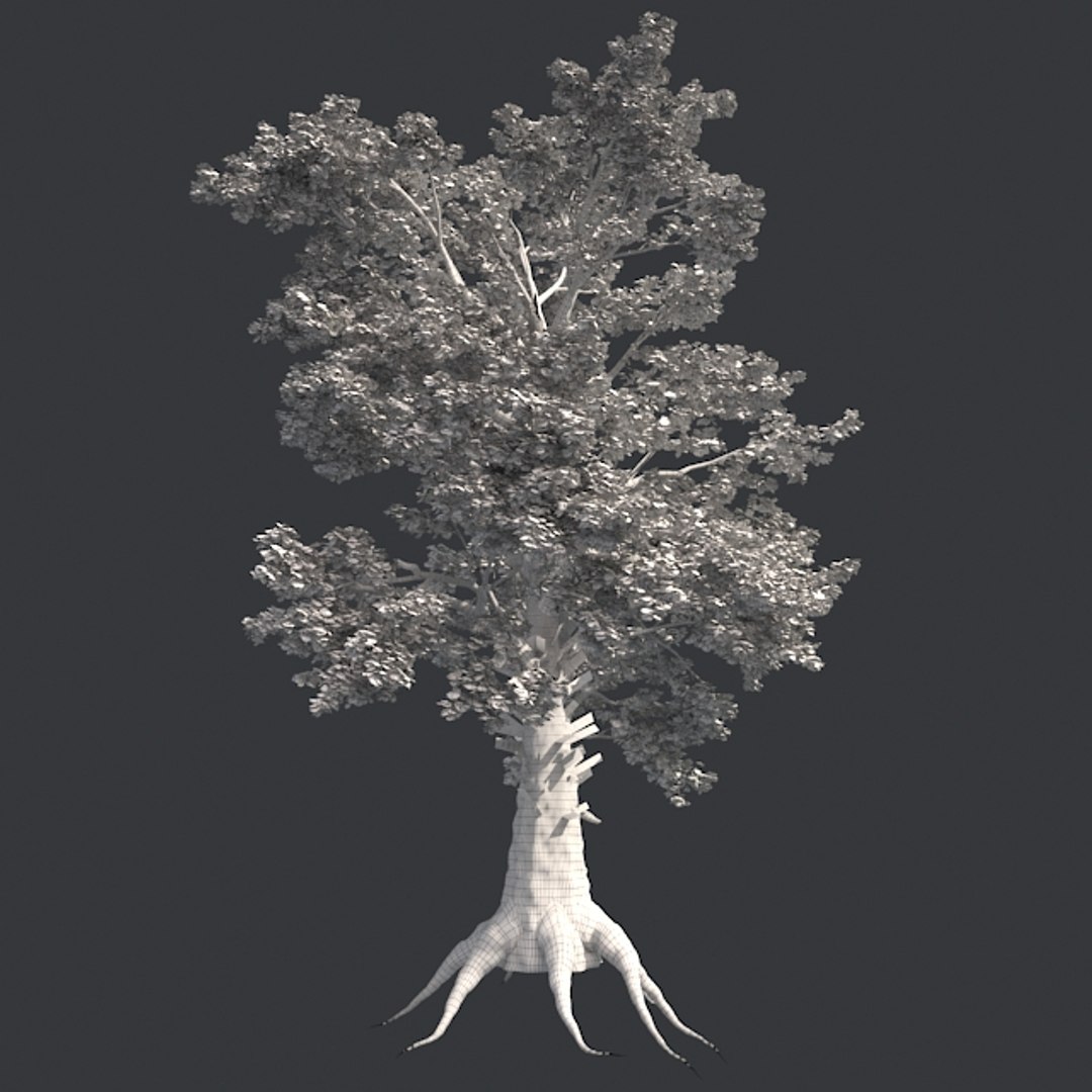 tree 002 32 model https://p.turbosquid.com/ts-thumb/3F/vfasE7/PwlbCZdg/005/jpg/1607258707/1920x1080/fit_q87/db122e7dbb433179029c2c25054eddfb9ee296b7/005.jpg