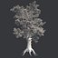 Tree Collection Vol 002 32 Tree