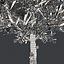Tree Collection Vol 002 32 Tree