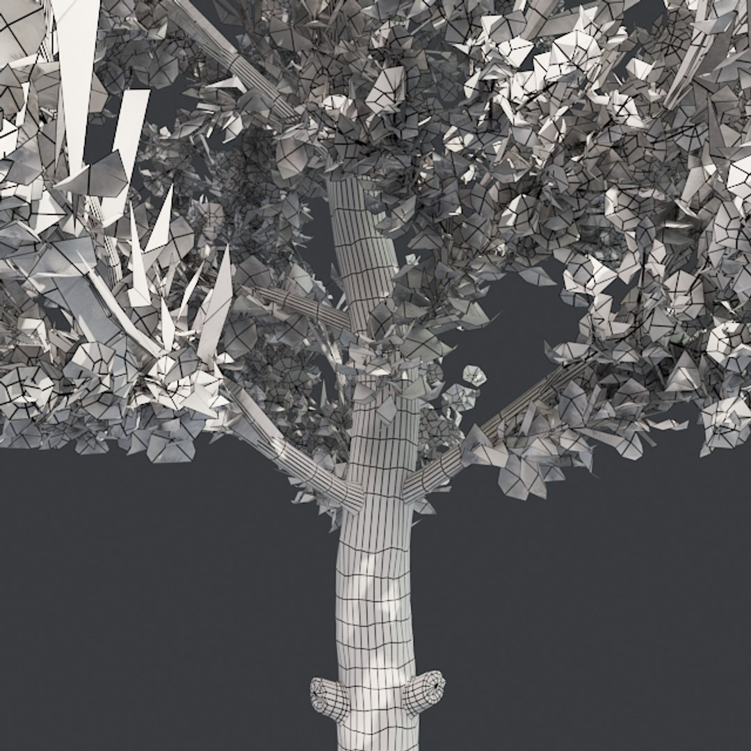 tree 002 32 model https://p.turbosquid.com/ts-thumb/3F/vfasE7/T6YsY3xL/005/jpg/1607258514/1920x1080/fit_q87/bf2d9e4dfd60952ddf179f2f455dcc2916f86e26/005.jpg