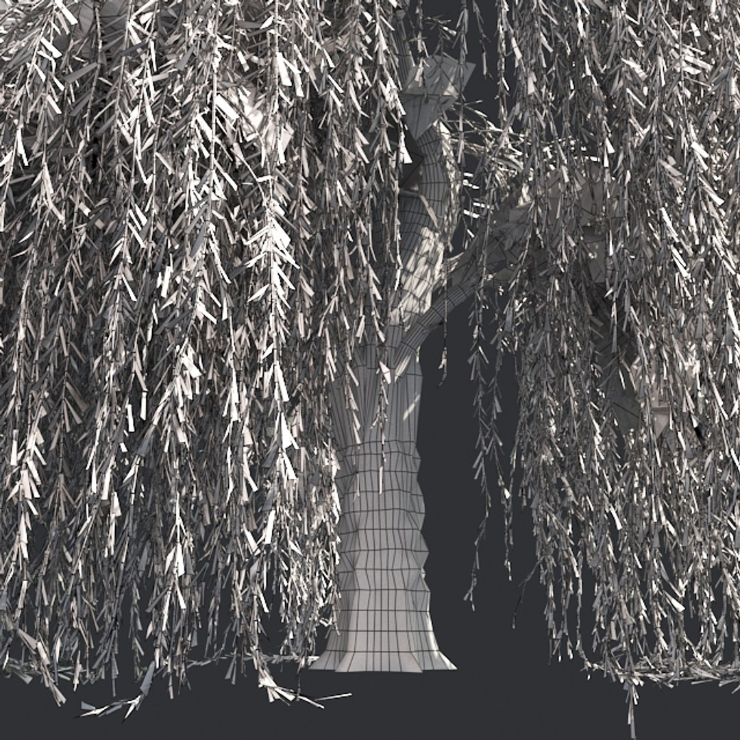 tree 002 32 model https://p.turbosquid.com/ts-thumb/3F/vfasE7/UYKR1XjT/005/jpg/1607258859/1920x1080/fit_q87/e740fc0b218b868673e6c10a156c60911a3ed5e4/005.jpg