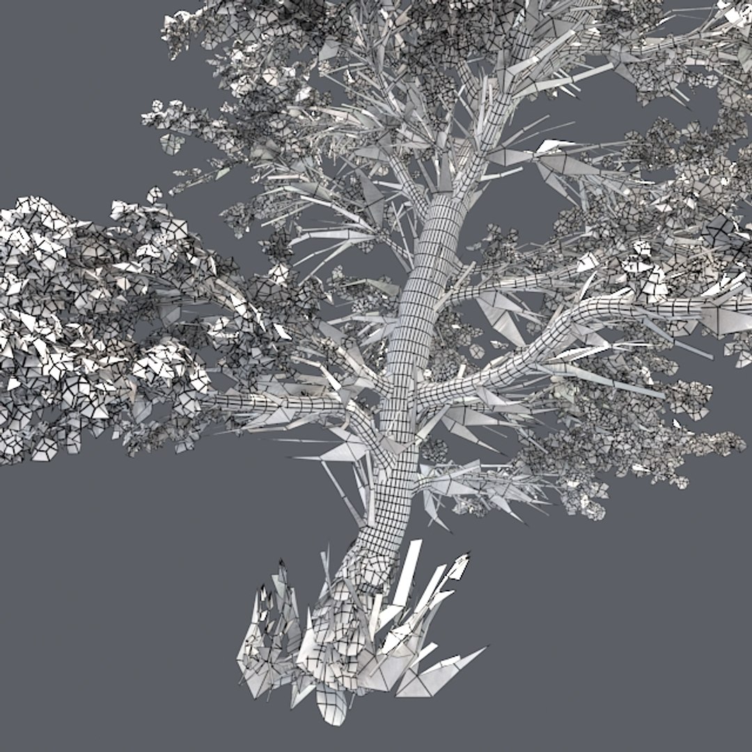 tree 002 32 model https://p.turbosquid.com/ts-thumb/3F/vfasE7/V9uKjfu7/005/jpg/1607258448/1920x1080/fit_q87/9948b8091f6c1ad54b0f8efb63f41c14305f7575/005.jpg