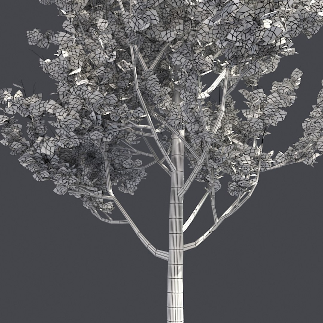 tree 002 32 model https://p.turbosquid.com/ts-thumb/3F/vfasE7/W79Pm6ra/005/jpg/1607258144/1920x1080/fit_q87/a8ed77d7a33361a5601c46b095b16456bb60b035/005.jpg