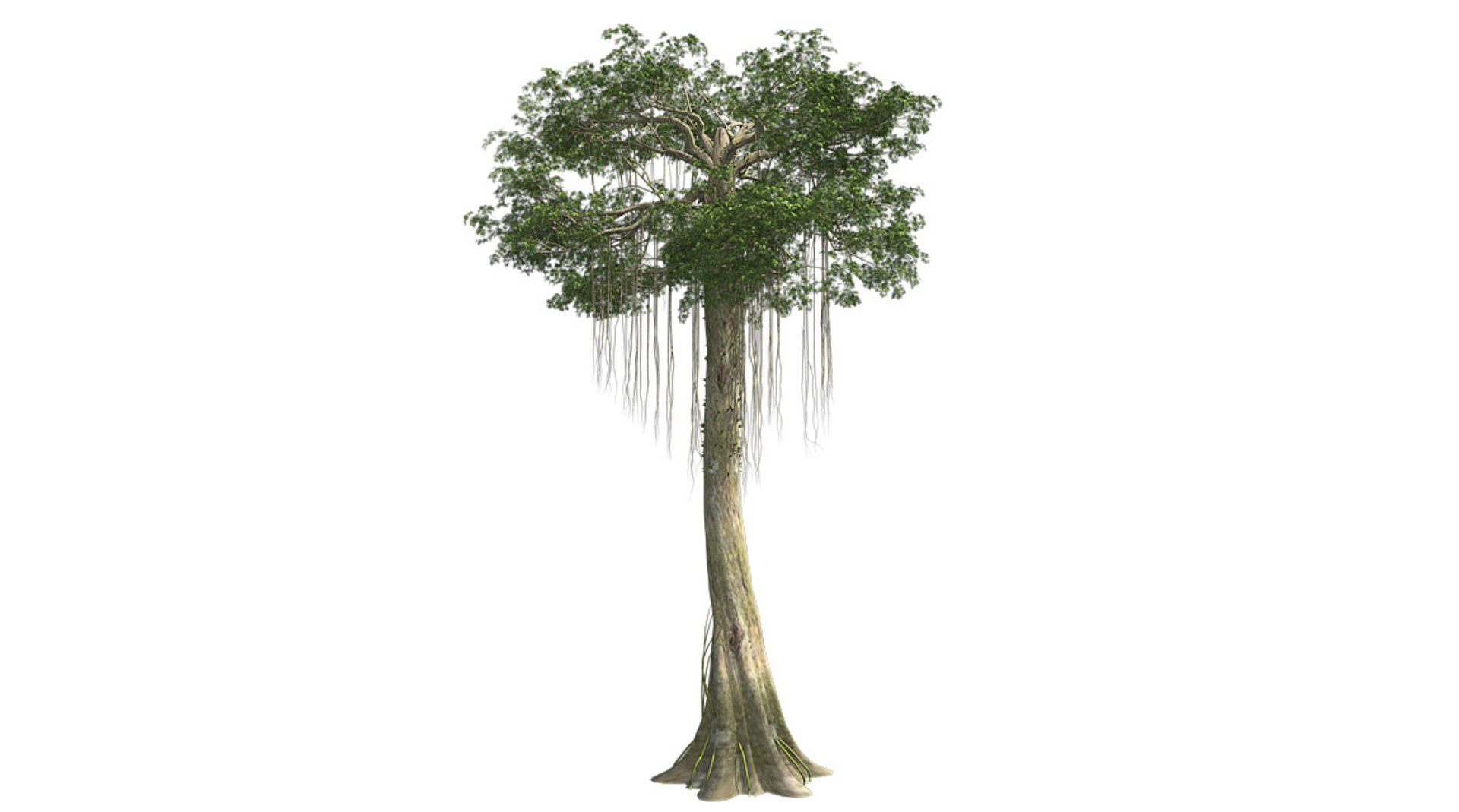 tree 002 32 model https://p.turbosquid.com/ts-thumb/3F/vfasE7/WzmQU9gF/000/jpg/1607258046/1920x1080/fit_q87/b20279526088892921706ce9863f210b08b3c098/000.jpg