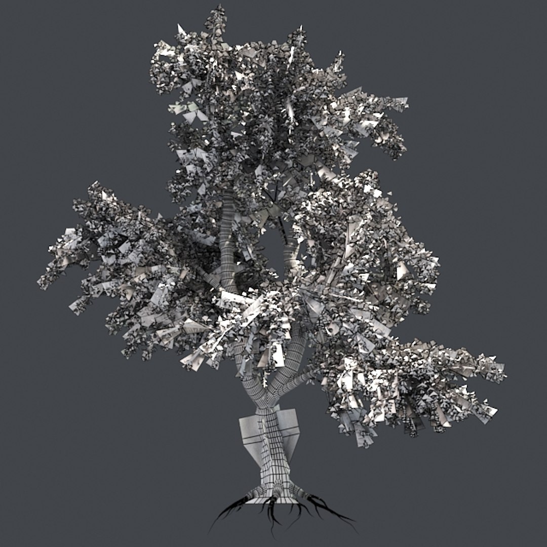 tree 002 32 model https://p.turbosquid.com/ts-thumb/3F/vfasE7/b3VlwUeA/005/jpg/1607258228/1920x1080/fit_q87/429e4ae64bf86fbe212cfb1b96b724f0abf2db82/005.jpg