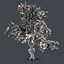 Tree Collection Vol 002 32 Tree