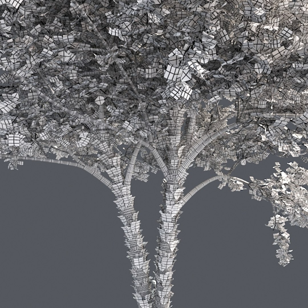 tree 002 32 model https://p.turbosquid.com/ts-thumb/3F/vfasE7/cy1FSlUg/005/jpg/1607258686/1920x1080/fit_q87/8e468f4d133f7c42795c9bb0df222505a8f4a70c/005.jpg