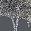 Tree Collection Vol 002 32 Tree