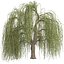 Tree Collection Vol 002 32 Tree