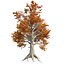 Tree Collection Vol 002 32 Tree