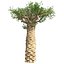 Tree Collection Vol 002 32 Tree