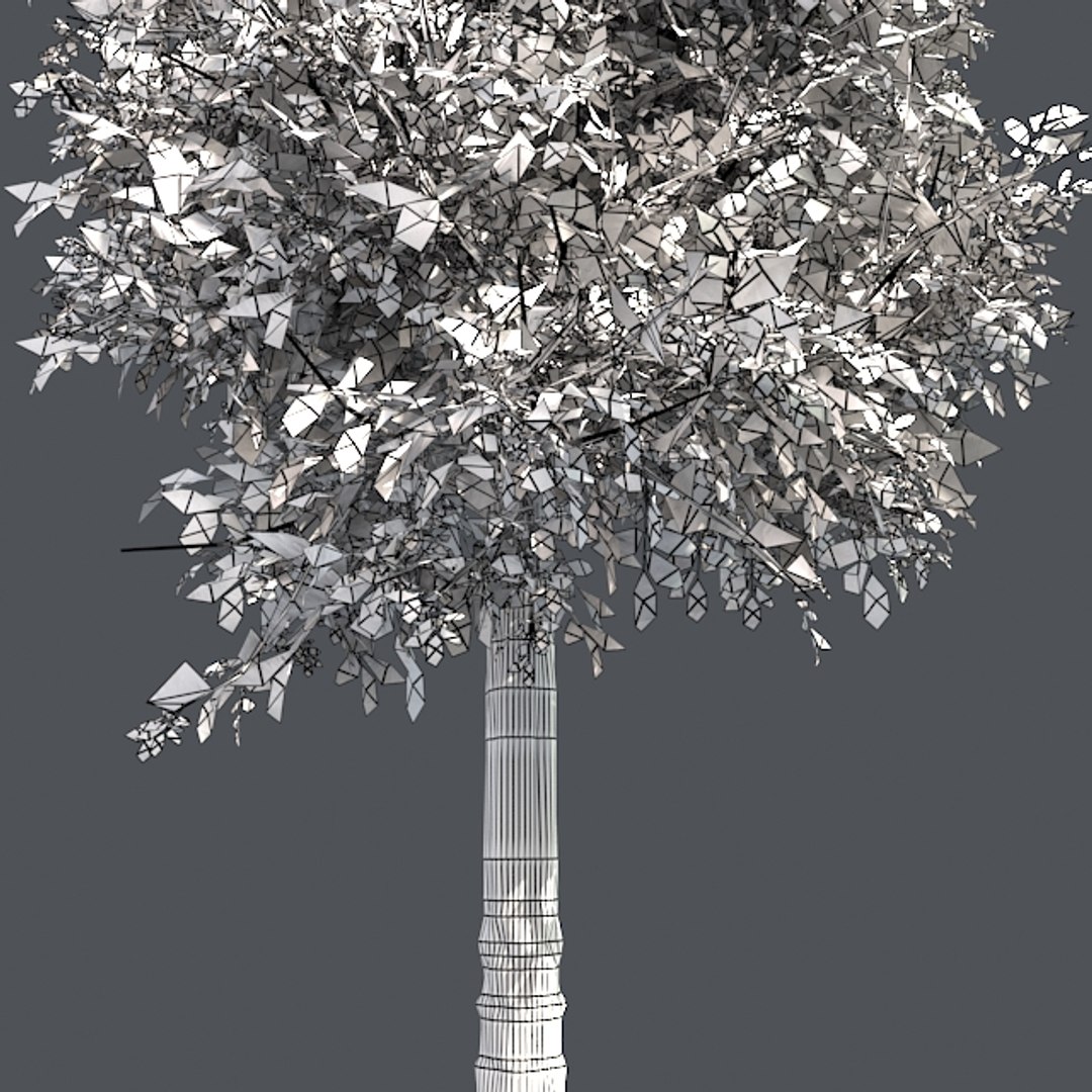 tree 002 32 model https://p.turbosquid.com/ts-thumb/3F/vfasE7/kdYOLNo3/005/jpg/1607258792/1920x1080/fit_q87/09cea216ad09df44fba986d8146066012a44169c/005.jpg