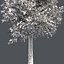 Tree Collection Vol 002 32 Tree