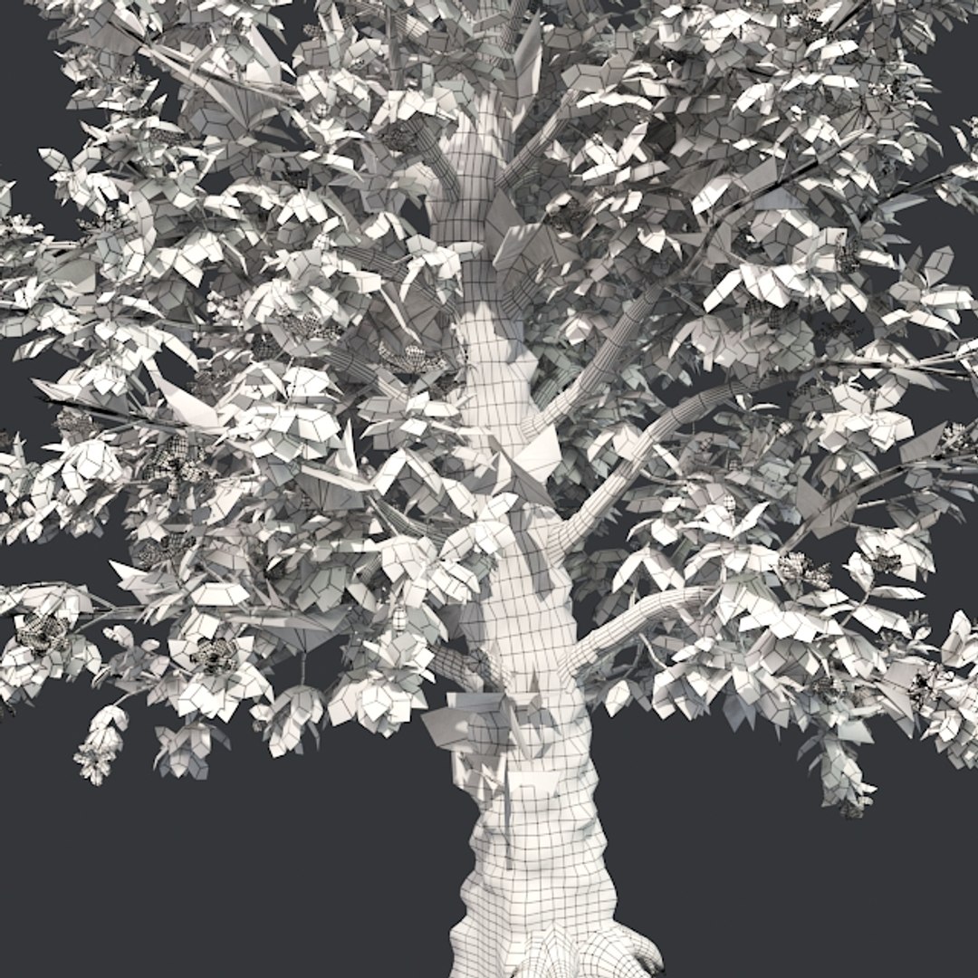 tree 002 32 model https://p.turbosquid.com/ts-thumb/3F/vfasE7/koYfL7tf/005/jpg/1607258817/1920x1080/fit_q87/0f3a661e7eb30f750dc3b98758cd8be01bb96ce3/005.jpg