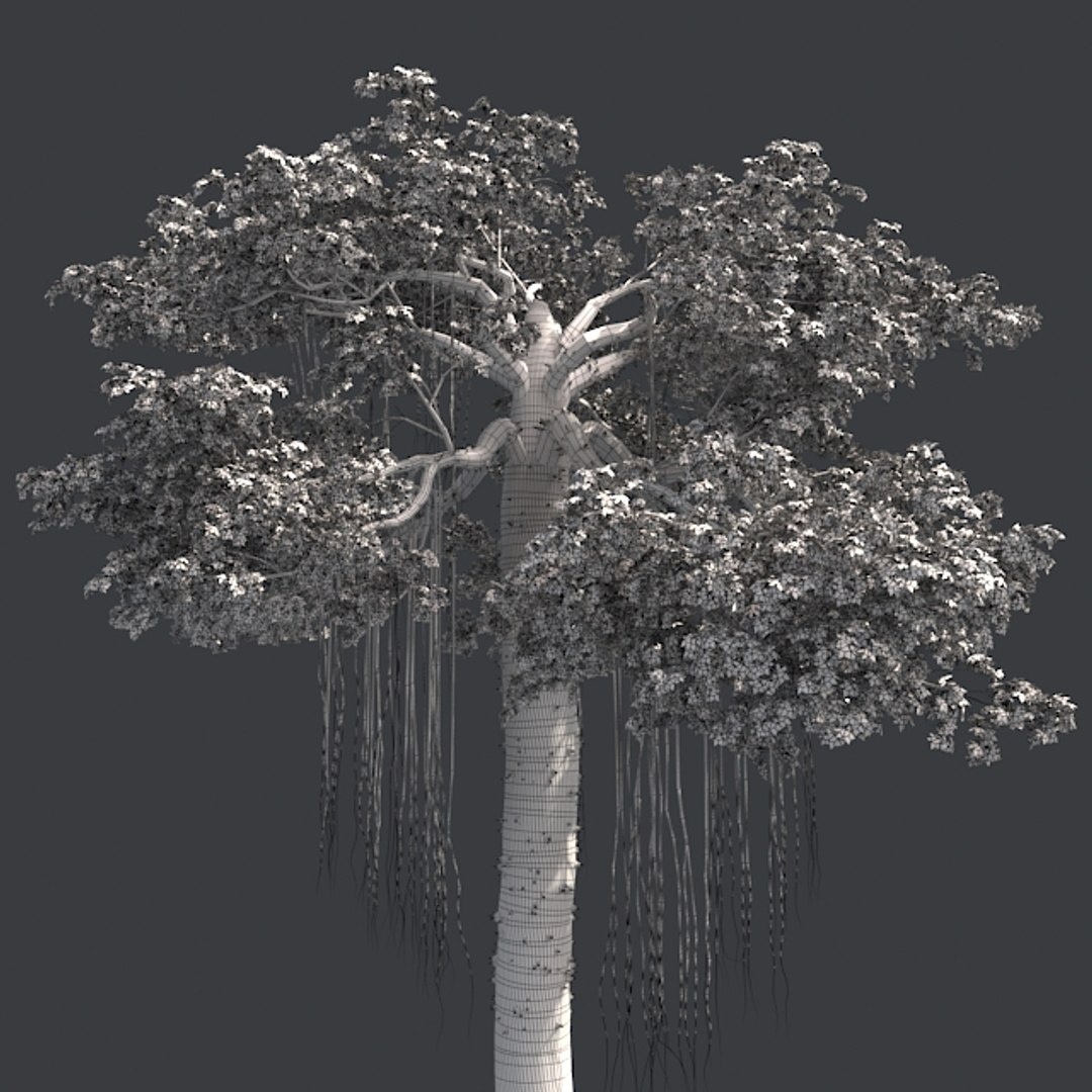 tree 002 32 model https://p.turbosquid.com/ts-thumb/3F/vfasE7/nEkIohpt/005/jpg/1607258250/1920x1080/fit_q87/29cb982af2b31d9d5221d648ba29481aad4982f1/005.jpg