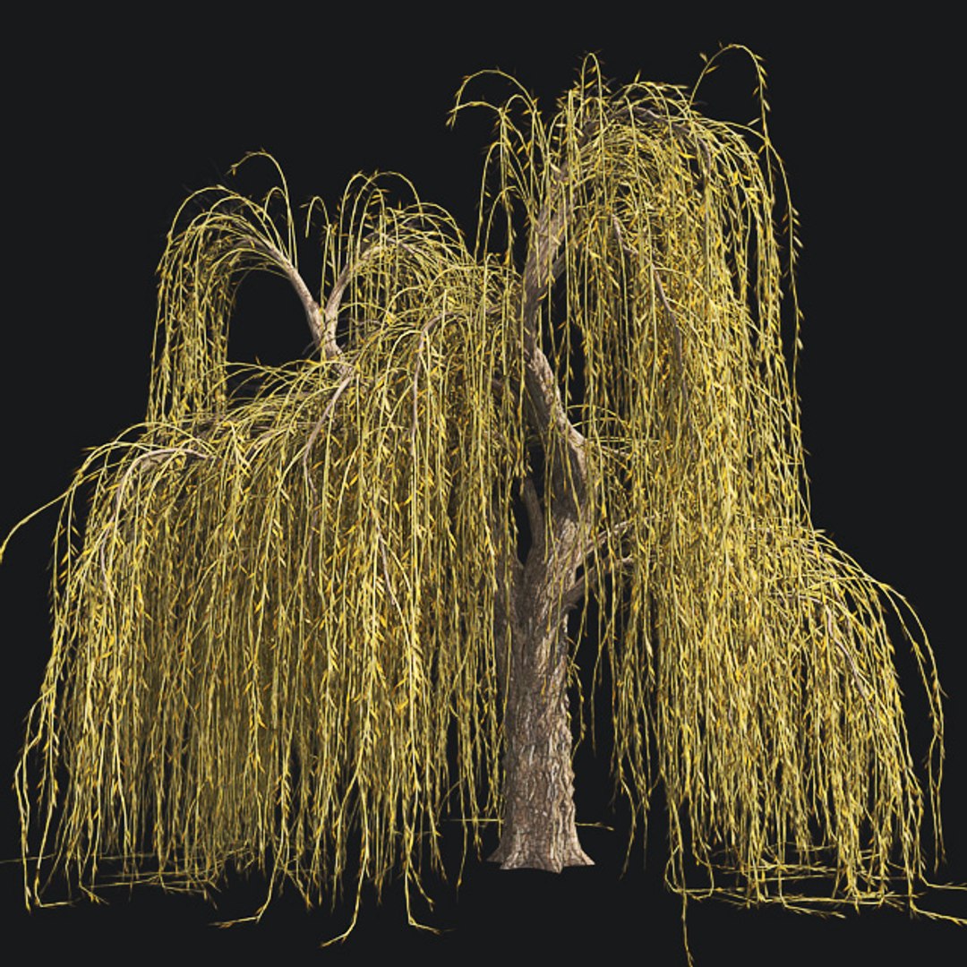 tree 002 32 model https://p.turbosquid.com/ts-thumb/3F/vfasE7/rAdGUlkg/001/jpg/1607258851/1920x1080/fit_q87/bab256133526b1506344afffc18b9aac8e25fe5a/001.jpg