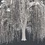 Tree Collection Vol 002 32 Tree