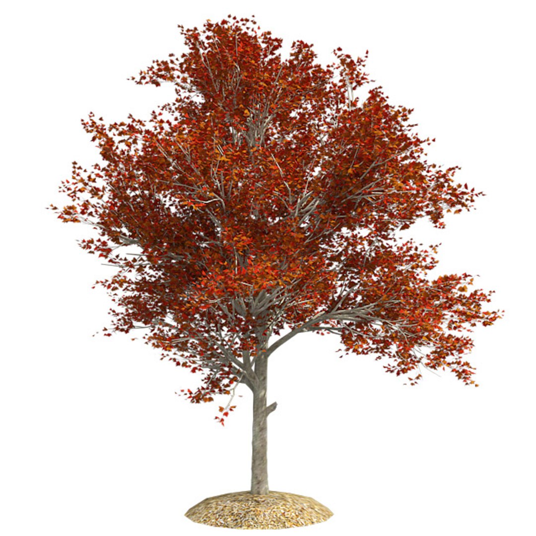 tree 002 32 model https://p.turbosquid.com/ts-thumb/3F/vfasE7/uxpuPII4/001/jpg/1607258597/1920x1080/fit_q87/209f06acfa7e3c7a970ce7d3b087f85511568e52/001.jpg