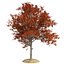 Tree Collection Vol 002 32 Tree