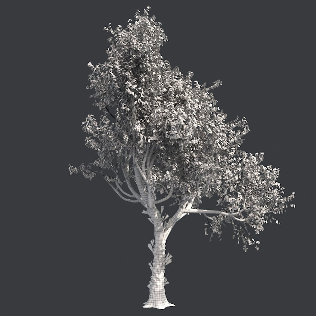 tree 002 32 model https://p.turbosquid.com/ts-thumb/3F/vfasE7/vVhc5OYV/005/jpg/1607258657/1920x1080/fit_q87/c94f45456b015484f58ba6d1ce8bc8f300c3c2ce/005.jpg