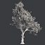 Tree Collection Vol 002 32 Tree