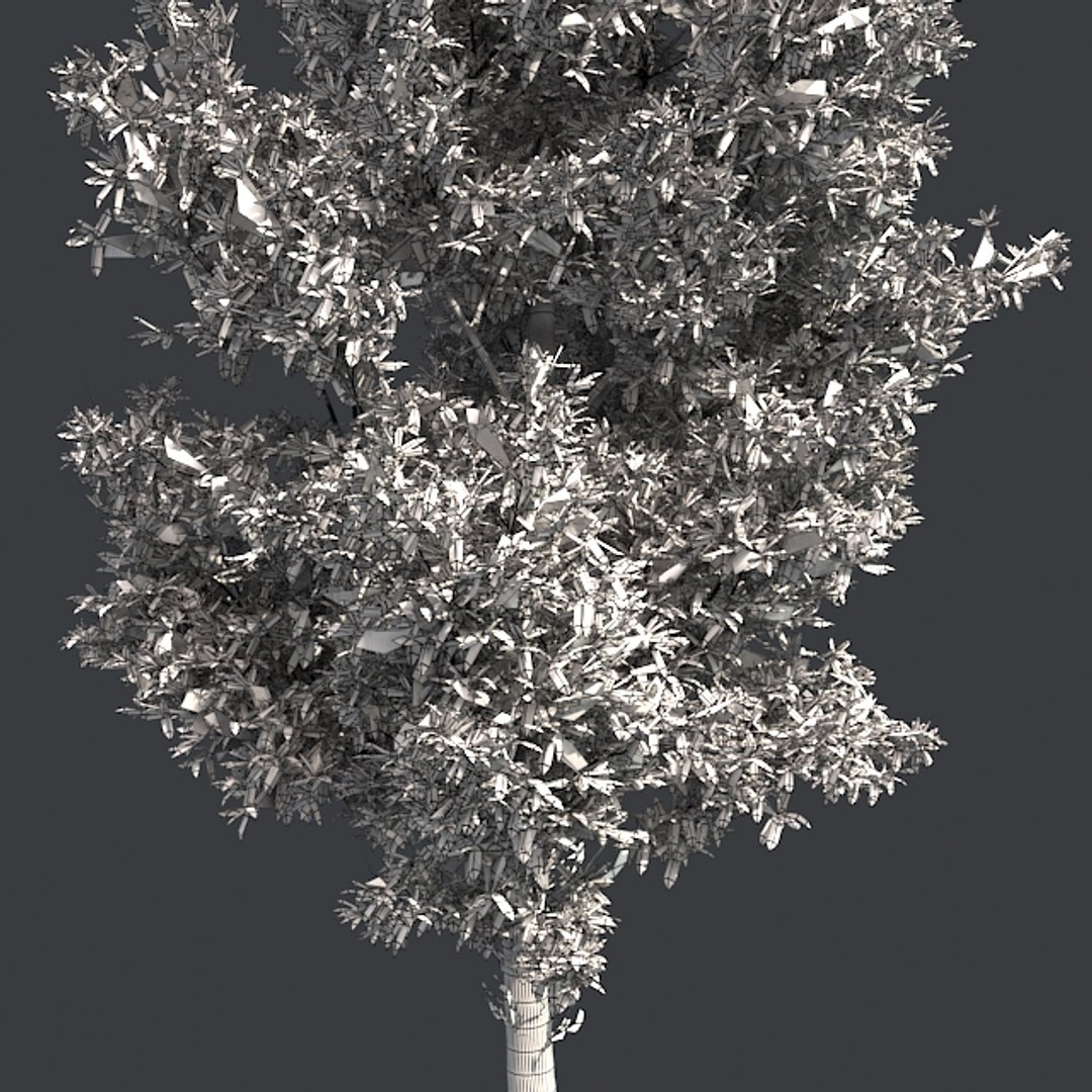 tree 002 32 model https://p.turbosquid.com/ts-thumb/3F/vfasE7/vW1gYzxd/005/jpg/1607258468/1920x1080/fit_q87/6329b20f31c177d543854dba04c90500c02748c9/005.jpg