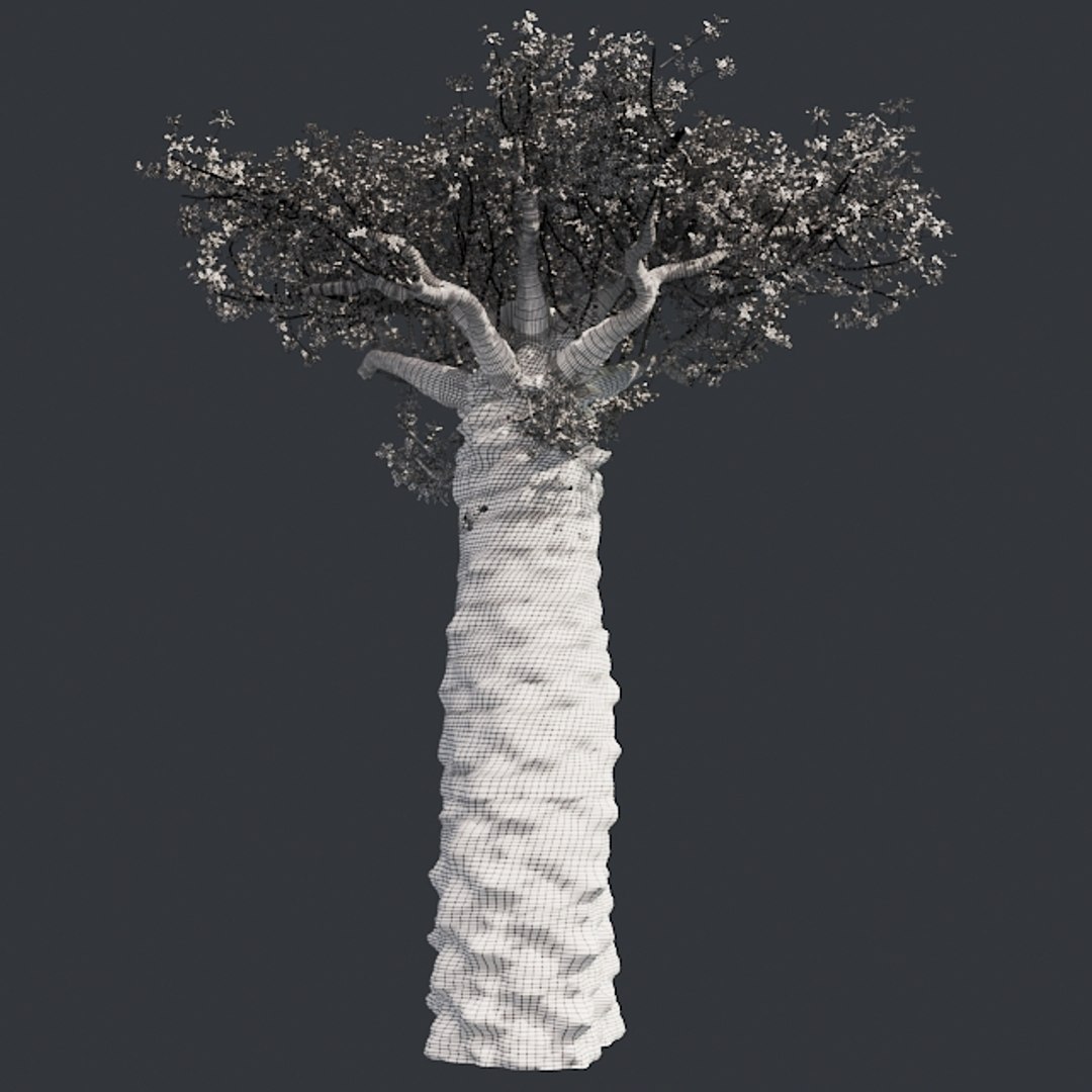 tree 002 32 model https://p.turbosquid.com/ts-thumb/3F/vfasE7/w9q5vq7c/005/jpg/1607258302/1920x1080/fit_q87/e565602d1ec061ae473708eed64eea10d10a9c73/005.jpg