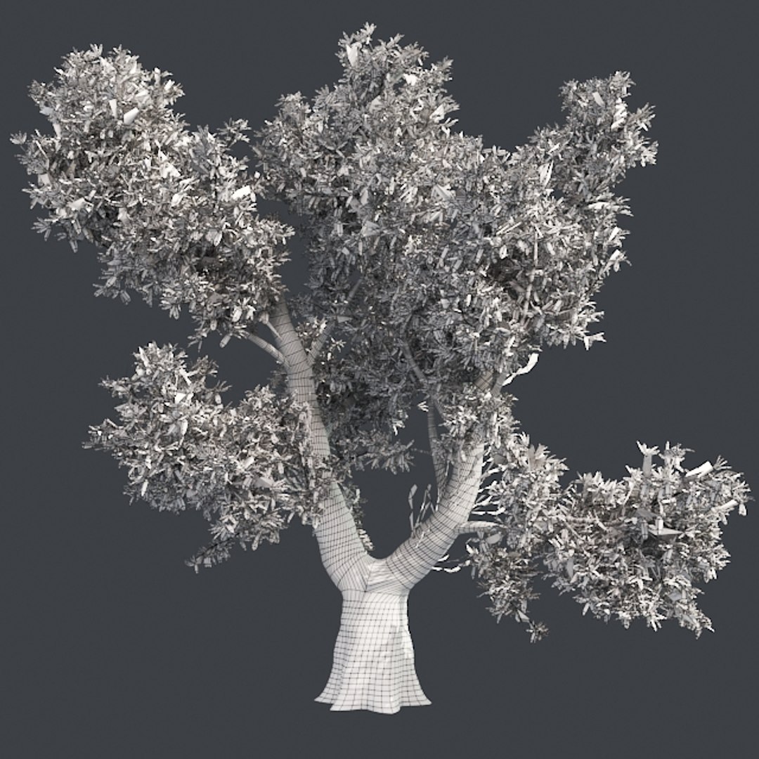 tree 002 32 model https://p.turbosquid.com/ts-thumb/3F/vfasE7/xjEfqeGZ/005/jpg/1607258536/1920x1080/fit_q87/80ef879f5d5072e3decaa22e40cdbeea5debedae/005.jpg