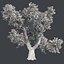 Tree Collection Vol 002 32 Tree