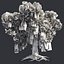 Tree Collection Vol 002 32 Tree