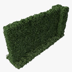 Green Ivy Wall
