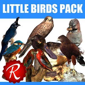 Litle Birds Pack