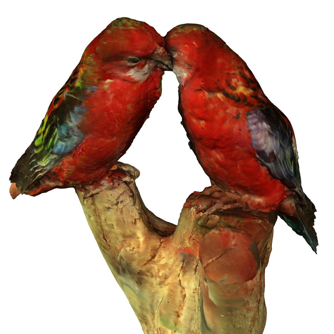 Birds 3d Max