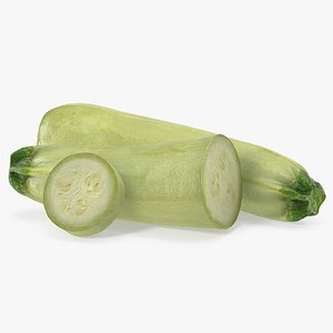 3D model summer squash gray zucchini