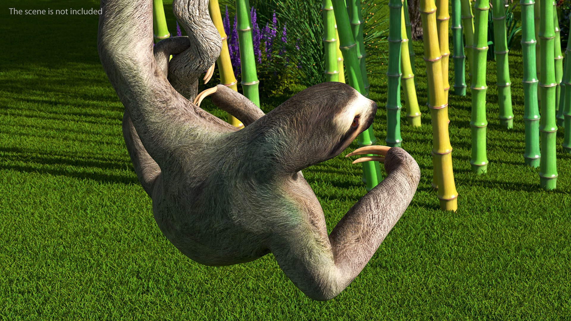 Sloth Rigged For Maya 3D Model - TurboSquid 2181716