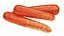 Carotte