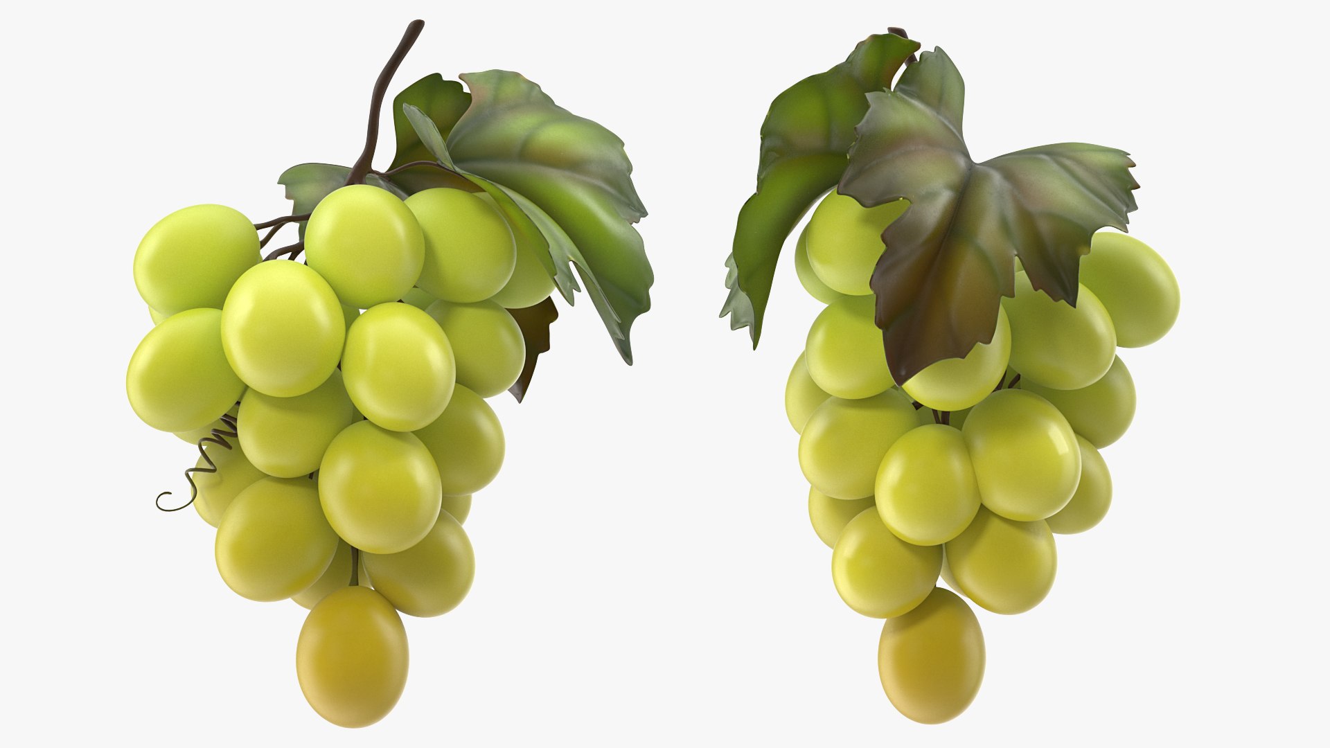 Bunch of Fresh Green Grapes 3D model preview
