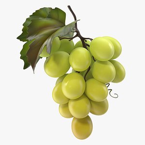 bunch fresh green grapes 3D model