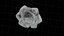Rote Rose