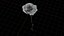 Rote Rose