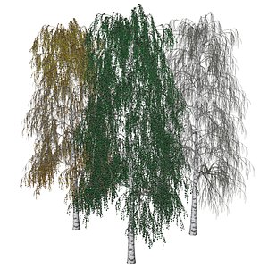 3D birch tree