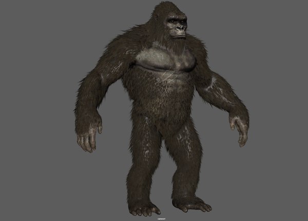 modelo 3d Modelo Kong Rig - TurboSquid 1831513