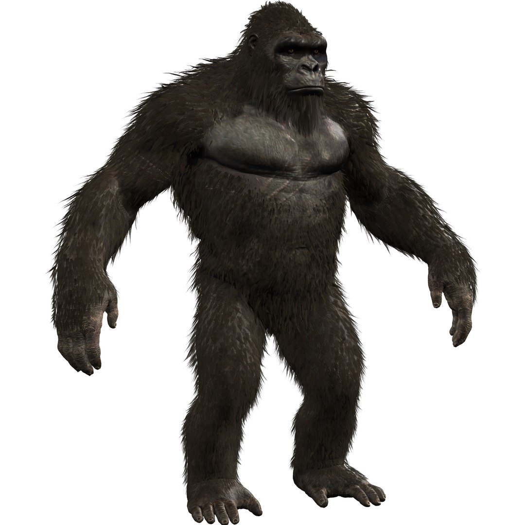 Kong Rig Model - Godzilla Movie 3D Model - TurboSquid 1831513