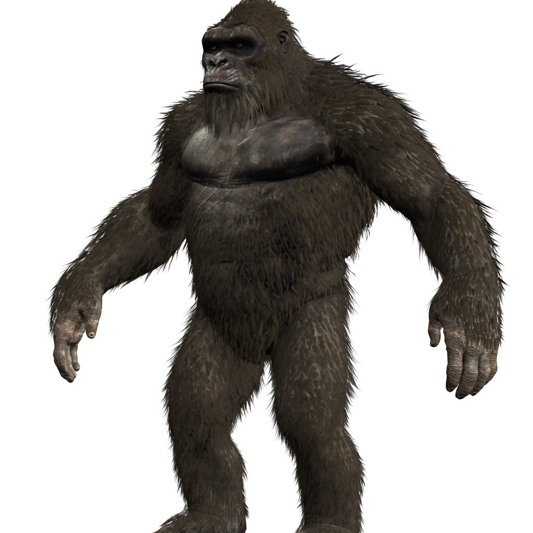 Kong Rig Model Godzilla Movie 3D Model TurboSquid 1831513