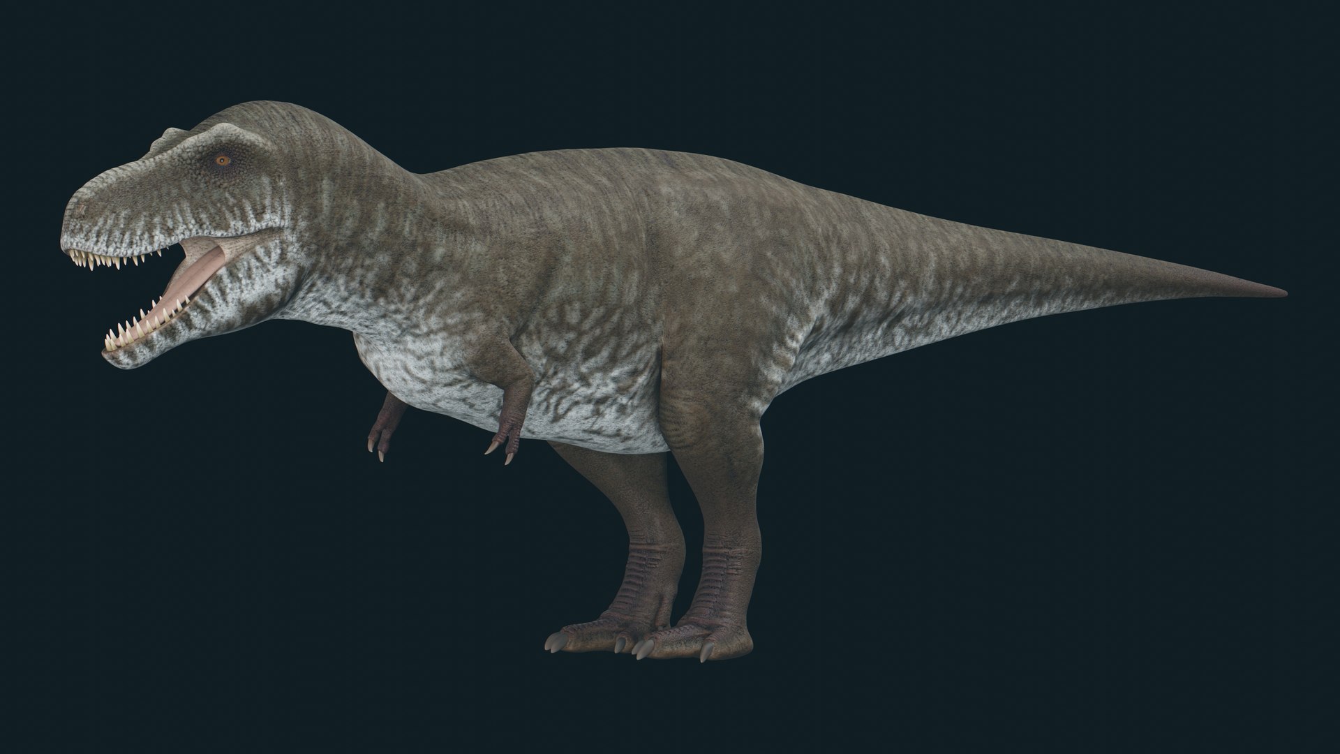 3D model 5 Dinosaur Pack https://p.turbosquid.com/ts-thumb/3H/YCEzQu/7q/8/jpg/1778105394/1920x1080/fit_q87/b2912dc838be80c4ed99dea769c5577d907fa9b0/8.jpg
