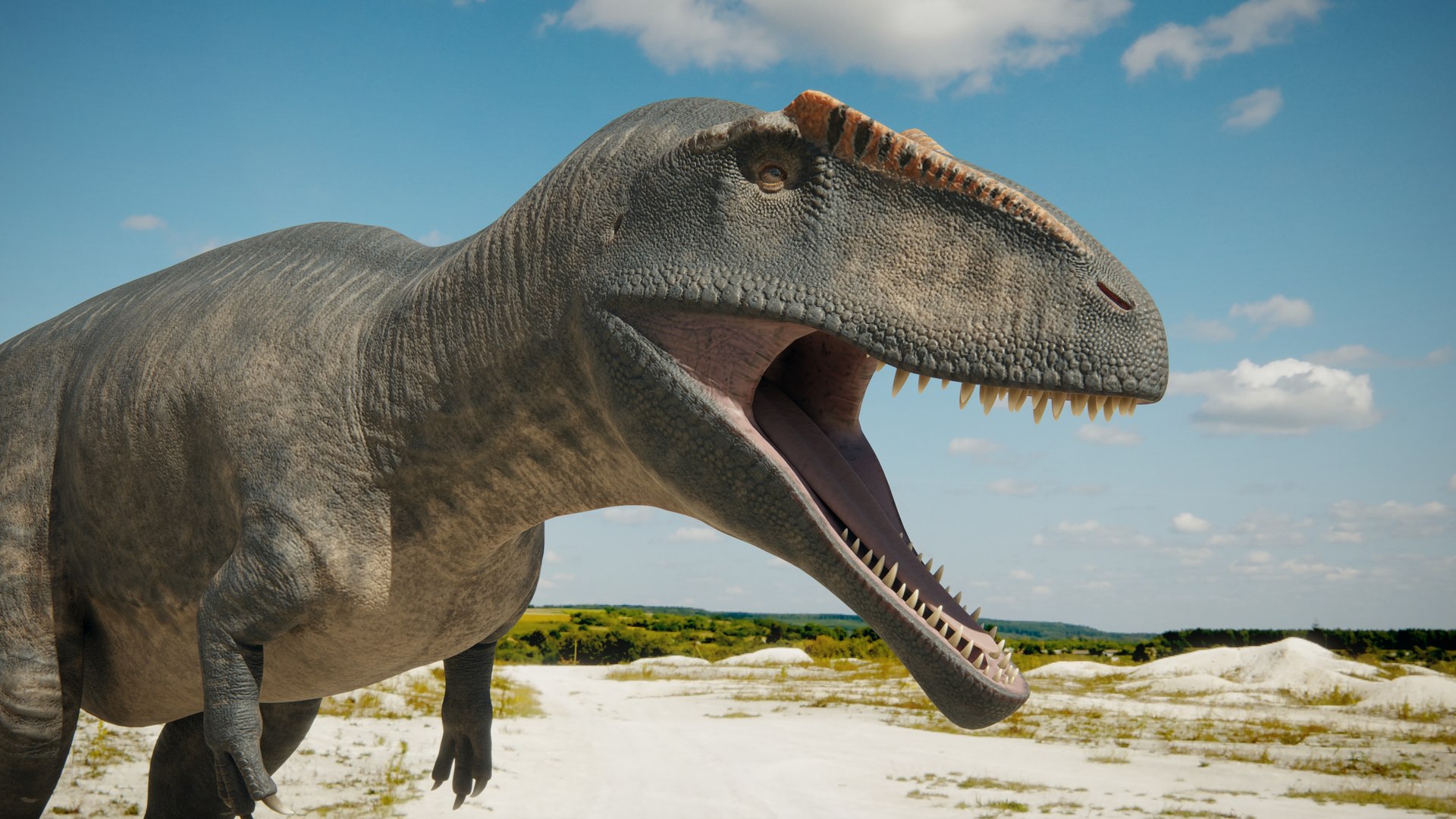 3D model 5 Dinosaur Pack https://p.turbosquid.com/ts-thumb/3H/YCEzQu/SD/28/jpg/1778105403/1920x1080/fit_q87/54bb82edea7b7b3c2e5abd39304abff1853f3cf2/28.jpg
