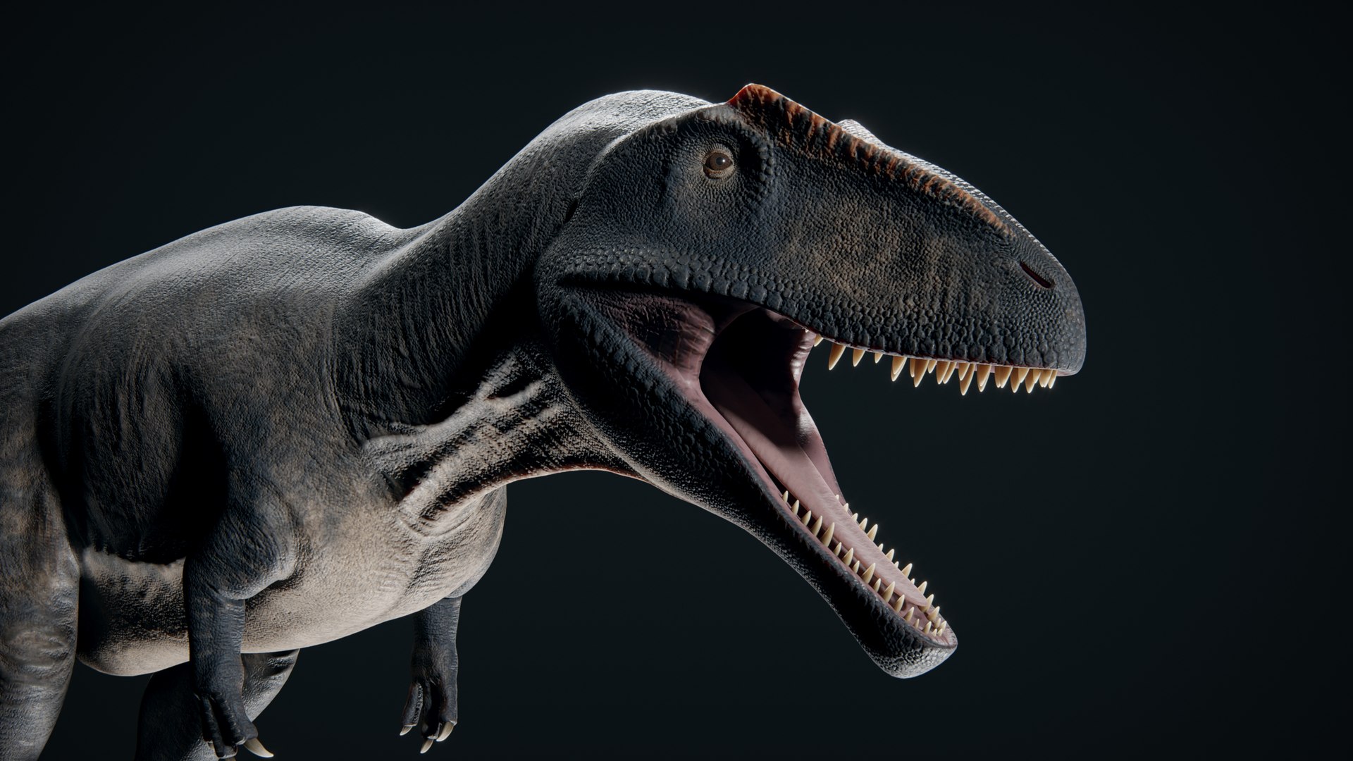 3D model 5 Dinosaur Pack https://p.turbosquid.com/ts-thumb/3H/YCEzQu/bl/27/jpg/1778105402/1920x1080/fit_q87/89d045f50d4327bd1b454d15235478b16eed093d/27.jpg