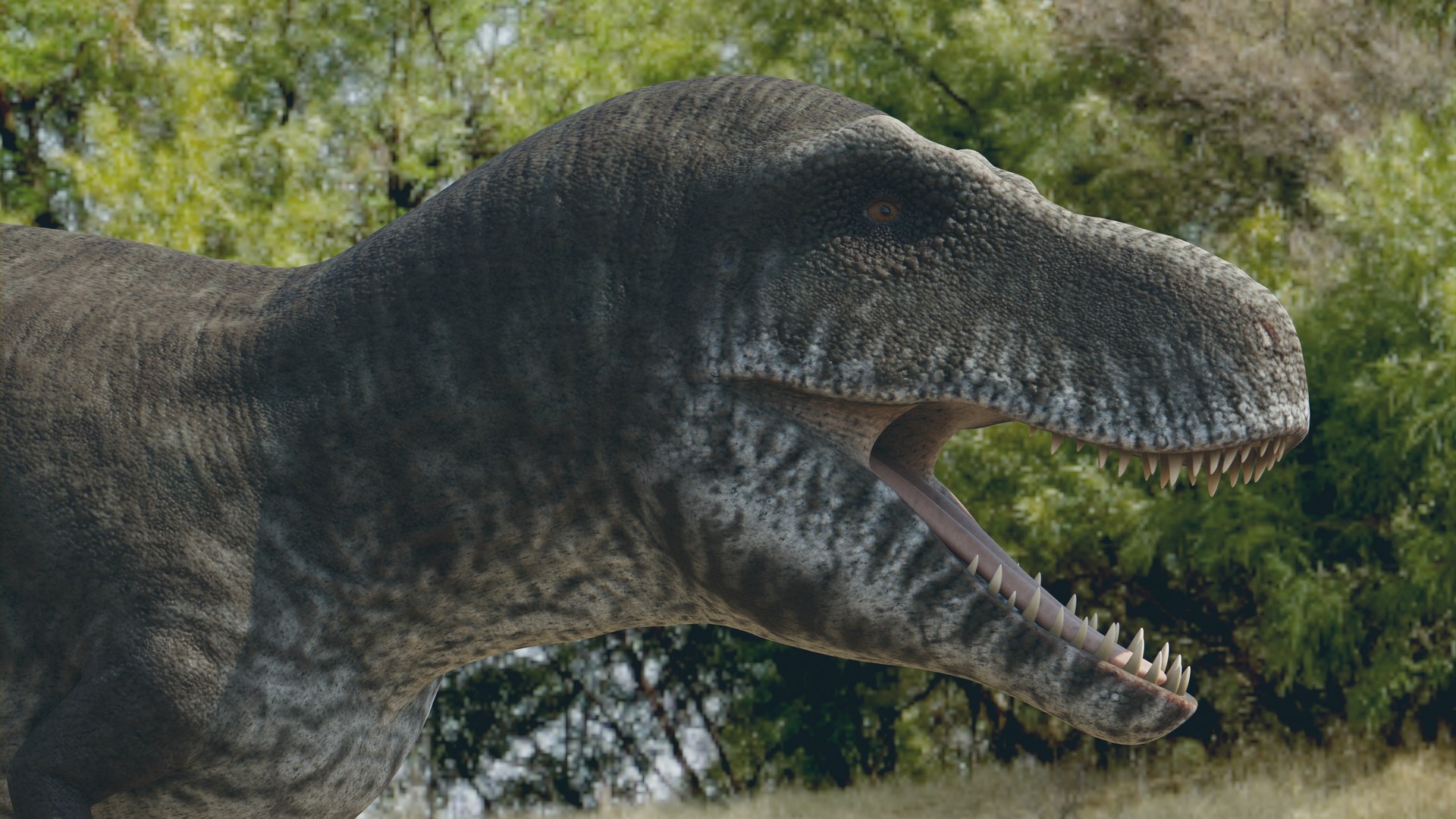 3D model 5 Dinosaur Pack https://p.turbosquid.com/ts-thumb/3H/YCEzQu/f4/10/jpg/1778105396/1920x1080/fit_q87/02cc86e252cf614ac72df200524ae5428070f84d/10.jpg