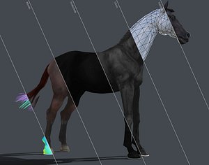 animation horse 3D model